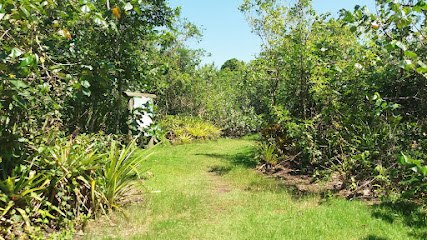 Parque das Capivaras